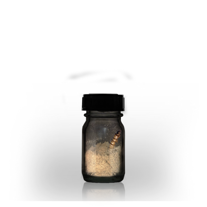 SAFARI LISTENING KIT